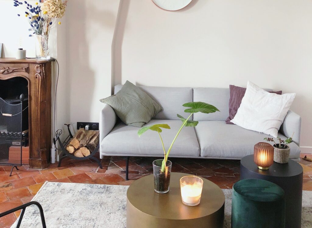 décoration de salon avec des plantes d'intérieurs