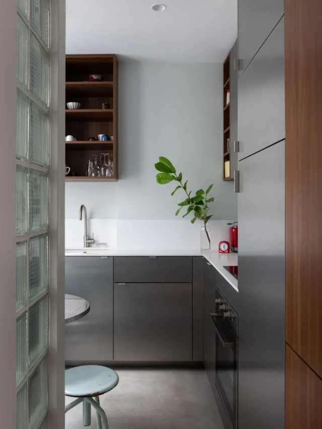 bocklip-facades-inox-01-vue-entree-cuisine-compacte-cloison-verre-briques